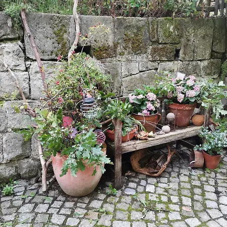 Apartamento Auszeit Freital Exterior foto