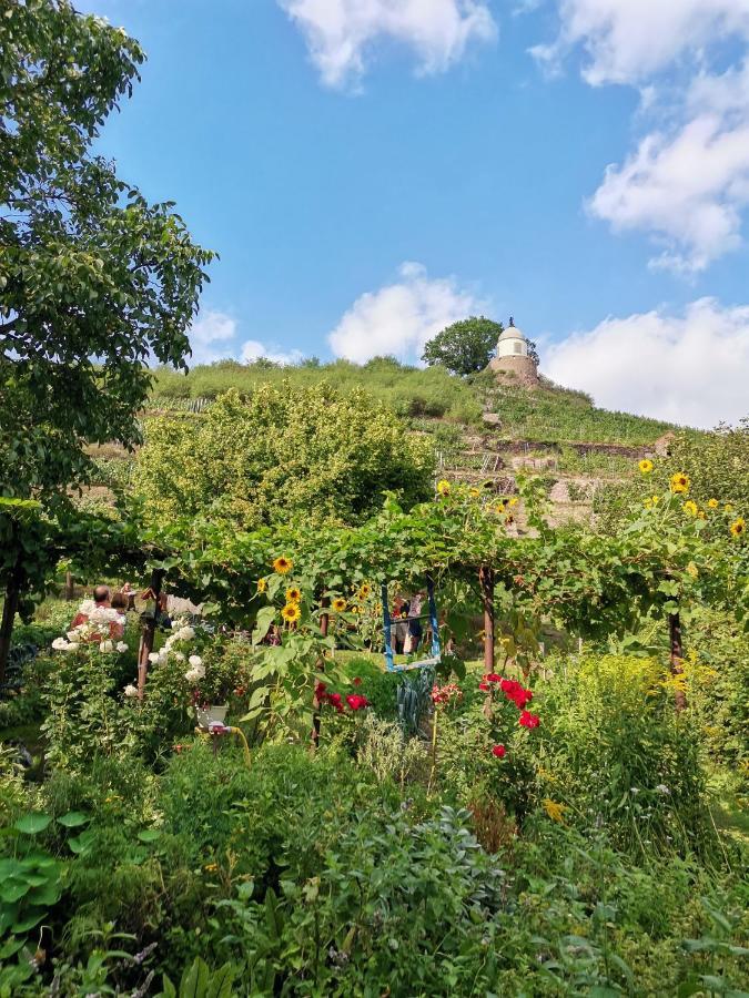 Auszeit Appartement Freital