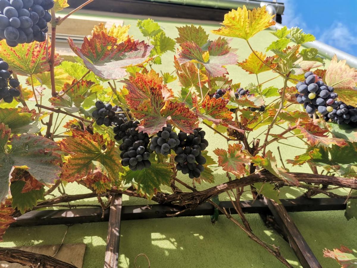 Appartement Auszeit