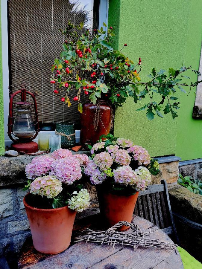 Appartement Auszeit *